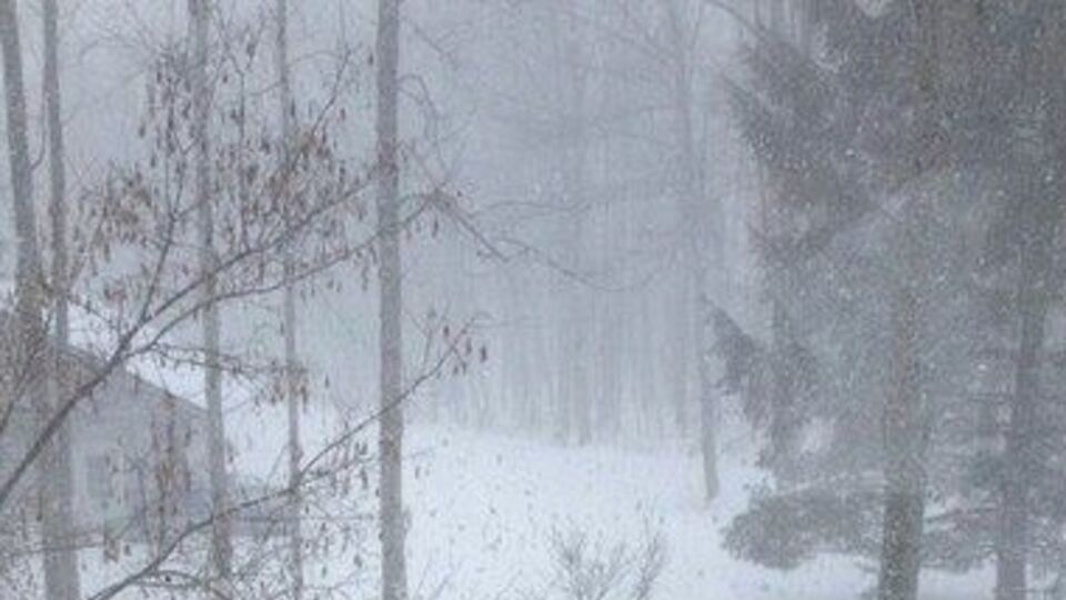 В Украине без существенных осадков