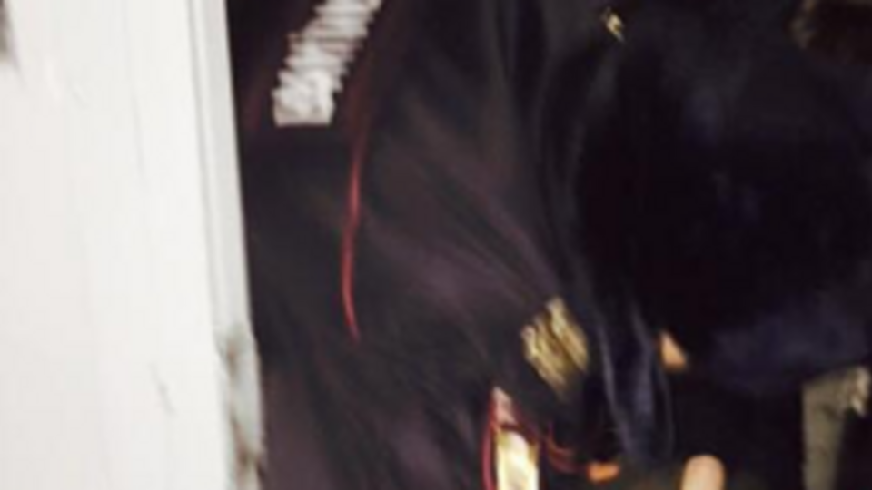 На активистов были оформлены протоколы по статье за неповиновение законному требованию сотрудника полиции, максимальным наказанием за которую является до 15 суток ареста