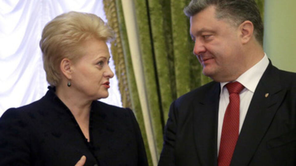 СМИ сообщают о визите Грибаускайте в Украину