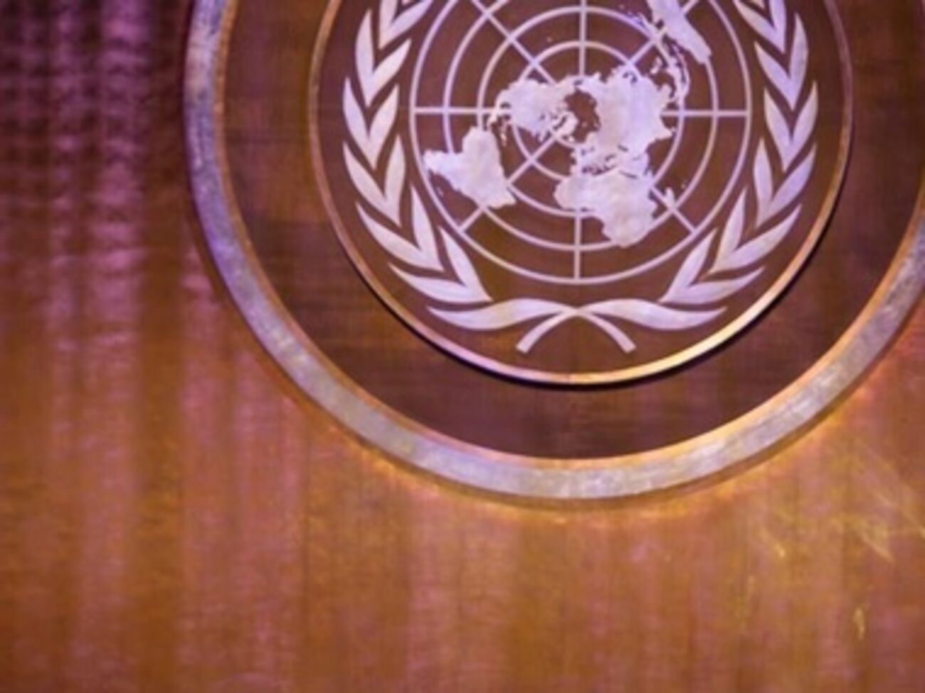 Об этом заявило российское представительство ООН в своем микроблоге Twitter