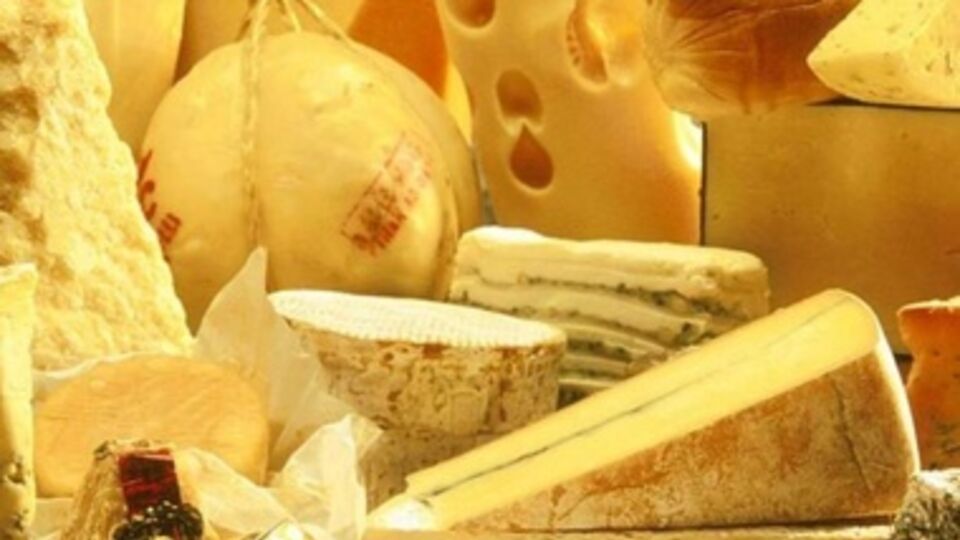 Сыры отличаются от сырных продуктов отсутствием в составе жиров и белков неживотного происхождения