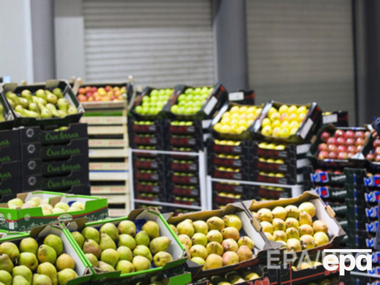 Россельхознадзор не пускает в Крым продукцию растительного происхождения