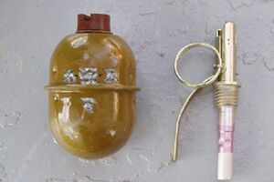 Инспектор и кинолог задержали подозрительного молодого человека в метро