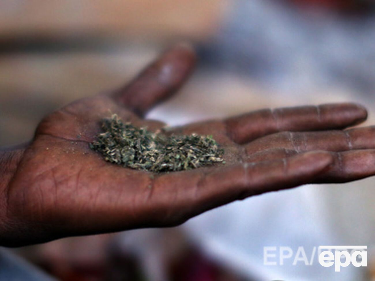 Курение марихуаны в общественных местах по-прежнему под запретом