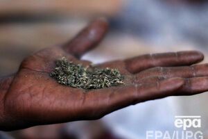 Курение марихуаны в общественных местах по-прежнему под запретом