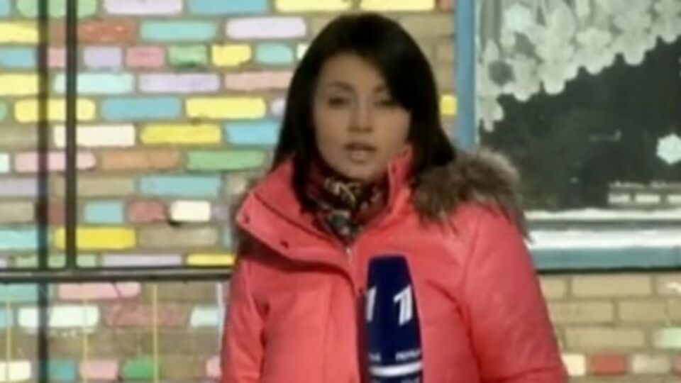 Задержанная в Киеве журналист "Первого канала" Елена Макарова