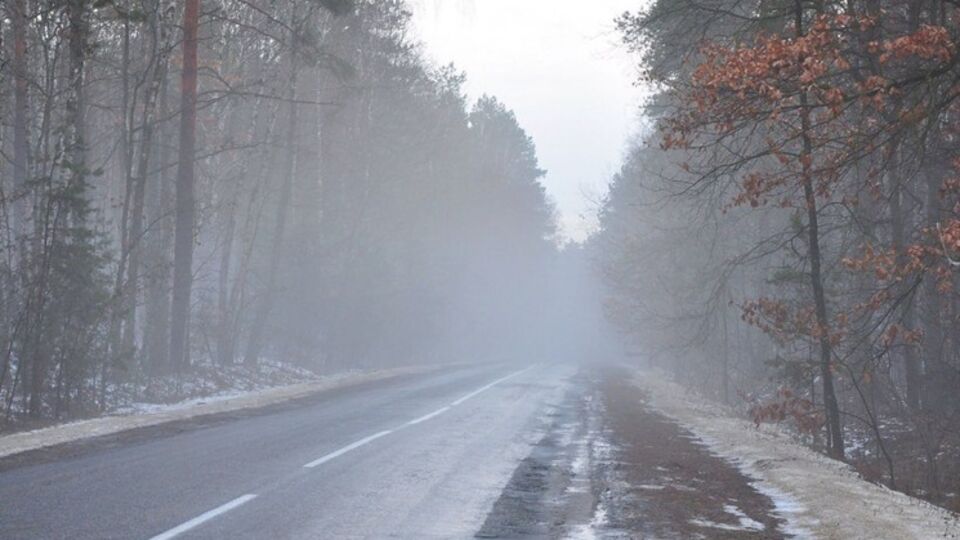 Сегодня в Украине туман