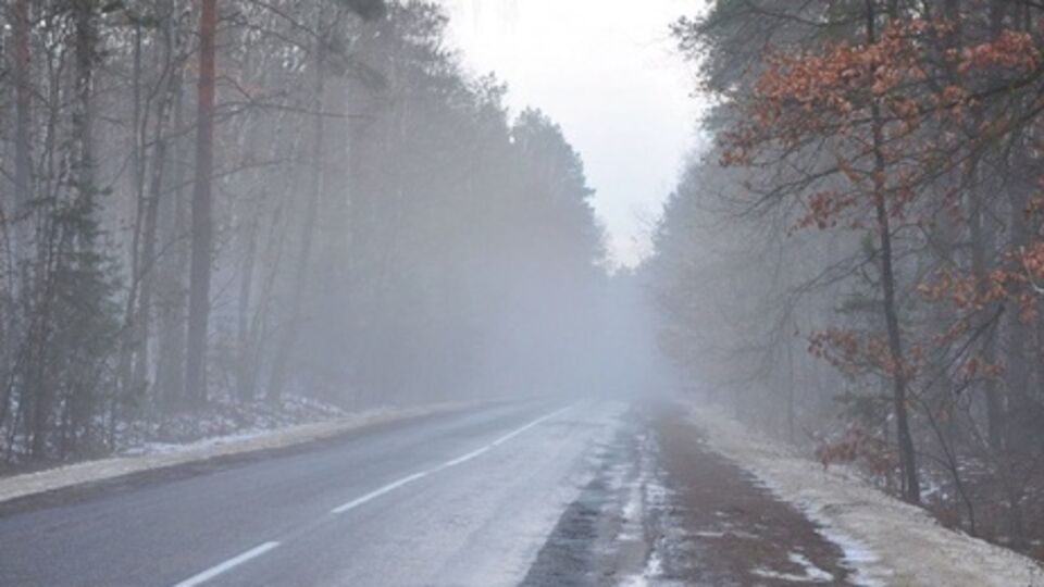 Местами сегодня туман