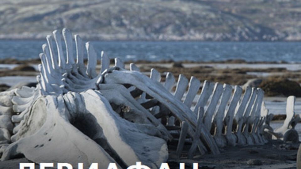 "Левиафан" с задержкой вышел в прокат