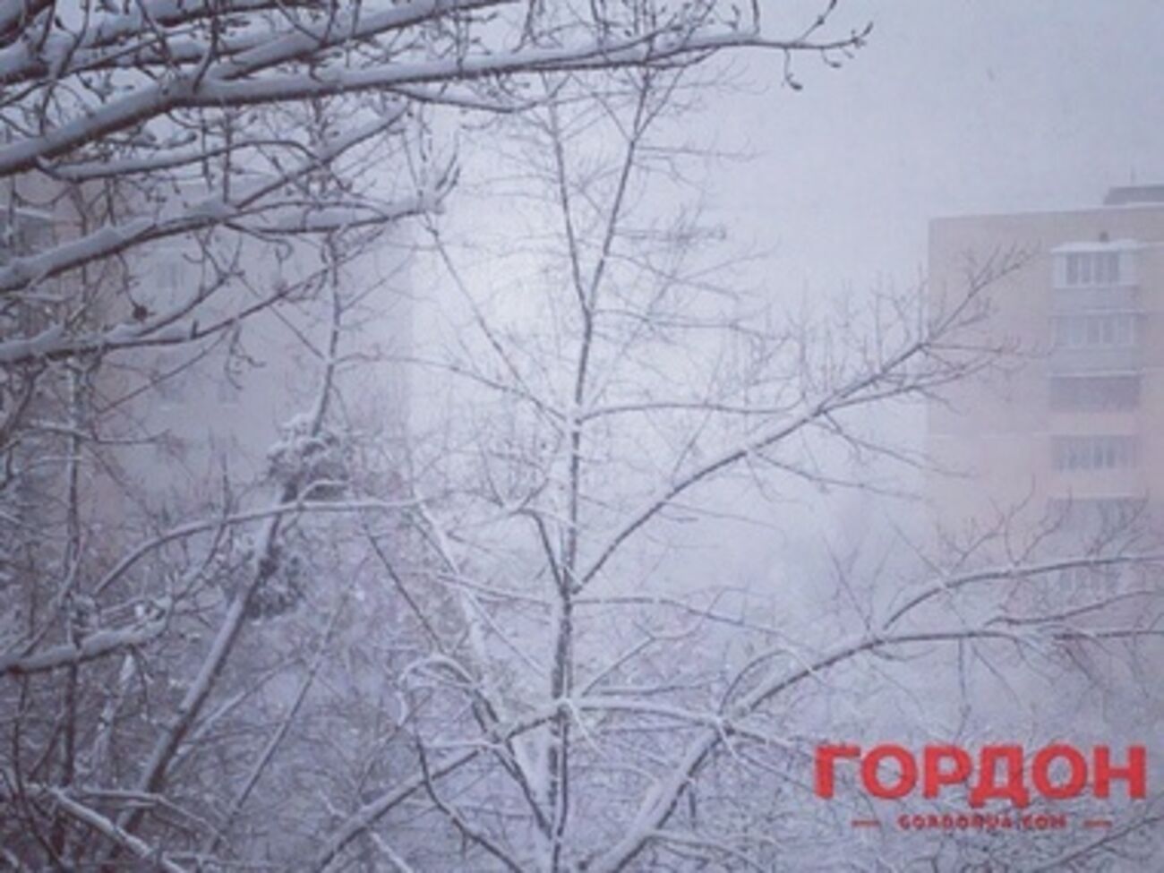 Киев засыпает снегом