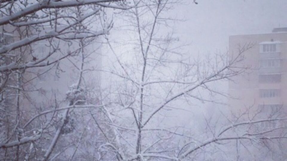 Киев засыпает снегом