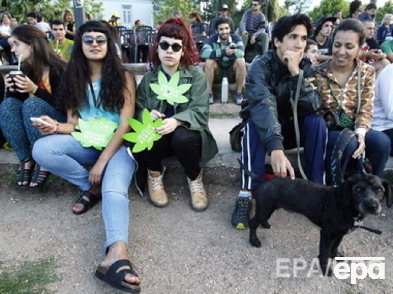 В Уругвае врачи теперь могут выписывать рецепты на марихуану