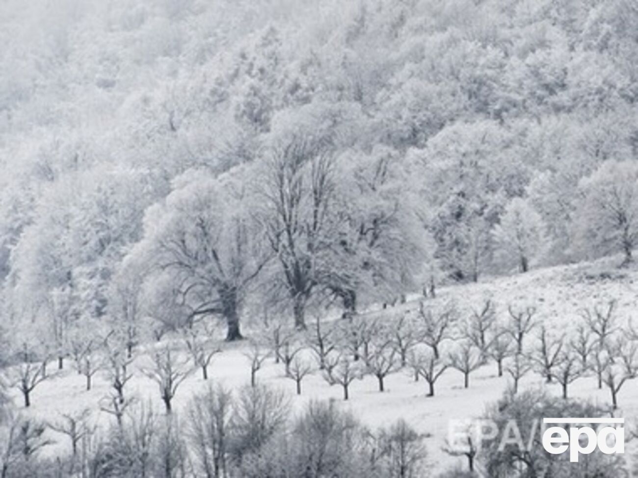 Земли вернут в пользование городской общины
