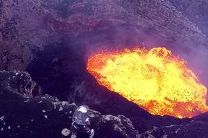 Ученые получили уникальные видео- и фотокадры