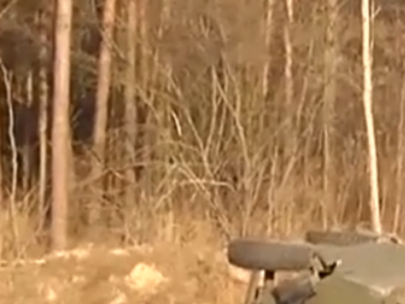 На трассе Киев---Харьков произошло смертельное ДТП с участием украинского военного