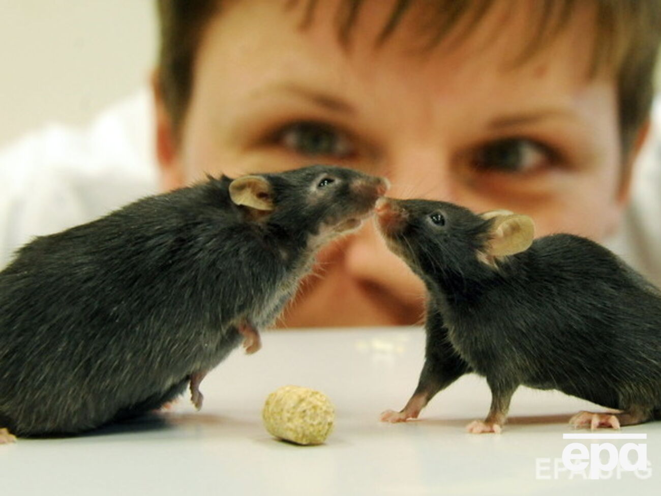 Ученые ищут лекарство от ожирения