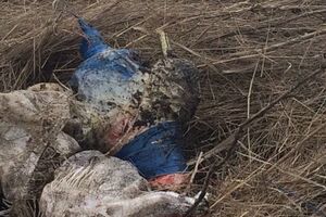 Взрывчатку замаскировали под огнетушитель