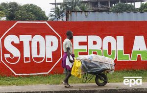 От вируса Эбола скончались 10 тыс. человек