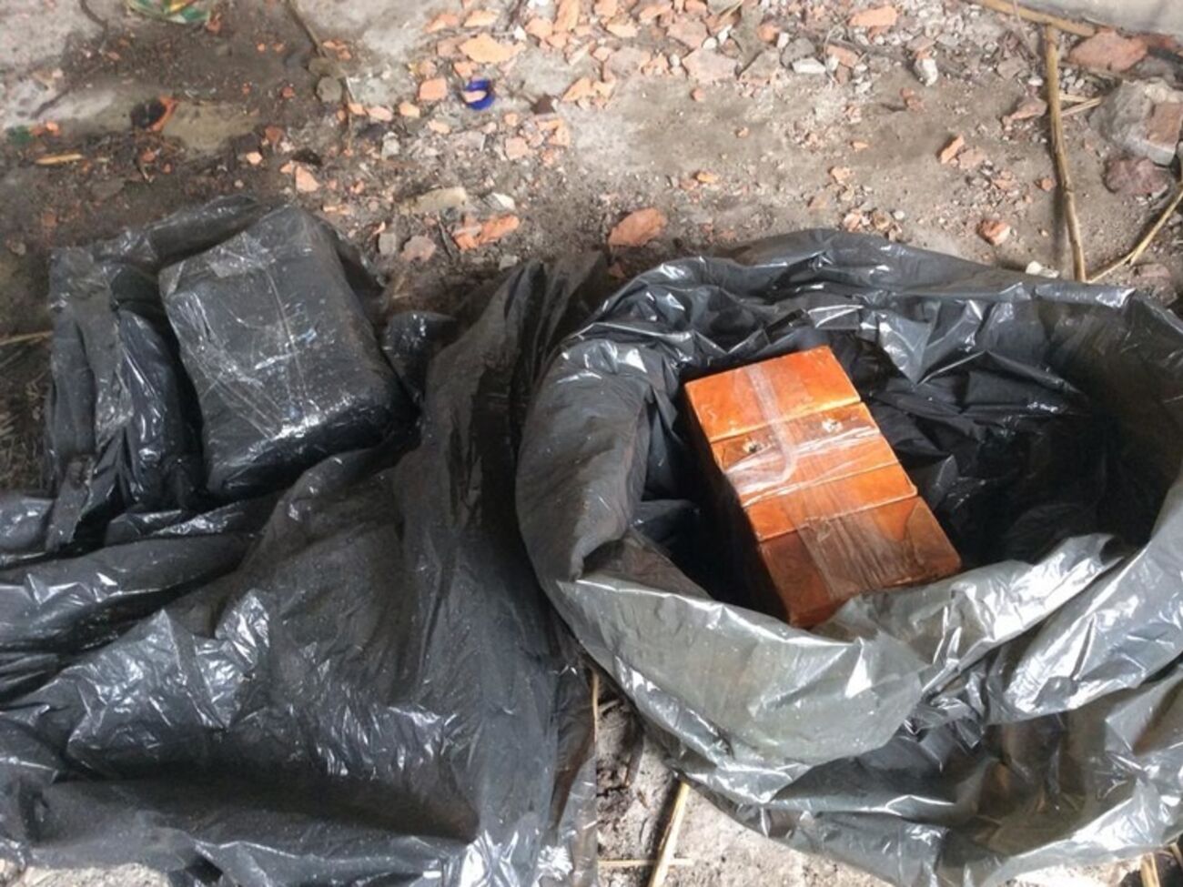 МВД: В Артемовске милиция предотвратила теракт. Фоторепортаж