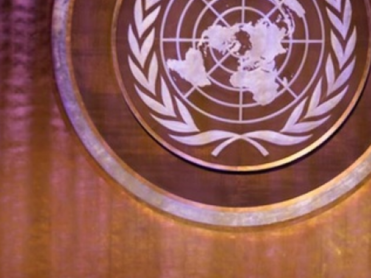 Решение о развертывании миротворческой операции на Донбассе примет Совбез ООН