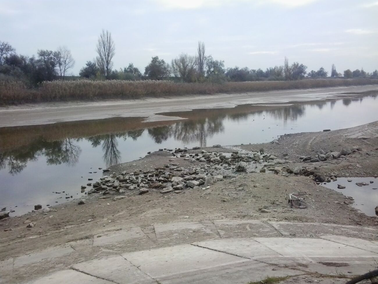 Руководители крымско-татарских организаций просят Порошенко "оказать содействие в решении сложившейся ситуации", надеясь на "мудрость, рассудительность и конструктивный подход" президента Украины