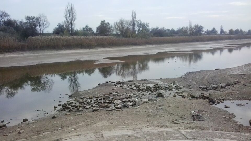 Руководители крымско-татарских организаций просят Порошенко "оказать содействие в решении сложившейся ситуации", надеясь на "мудрость, рассудительность и конструктивный подход" президента Украины