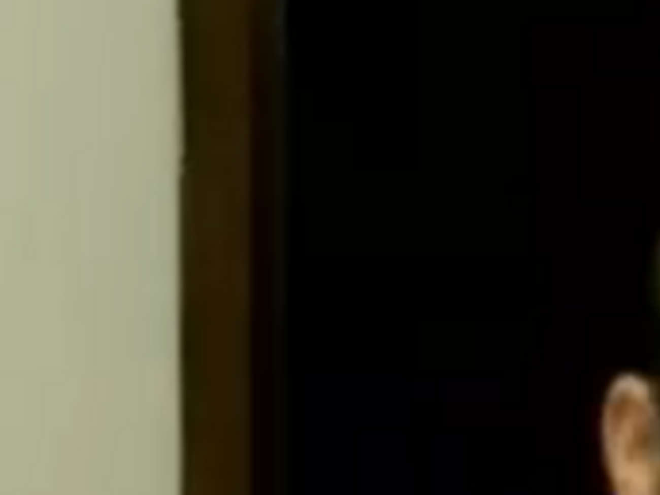 Хориа Георгеску