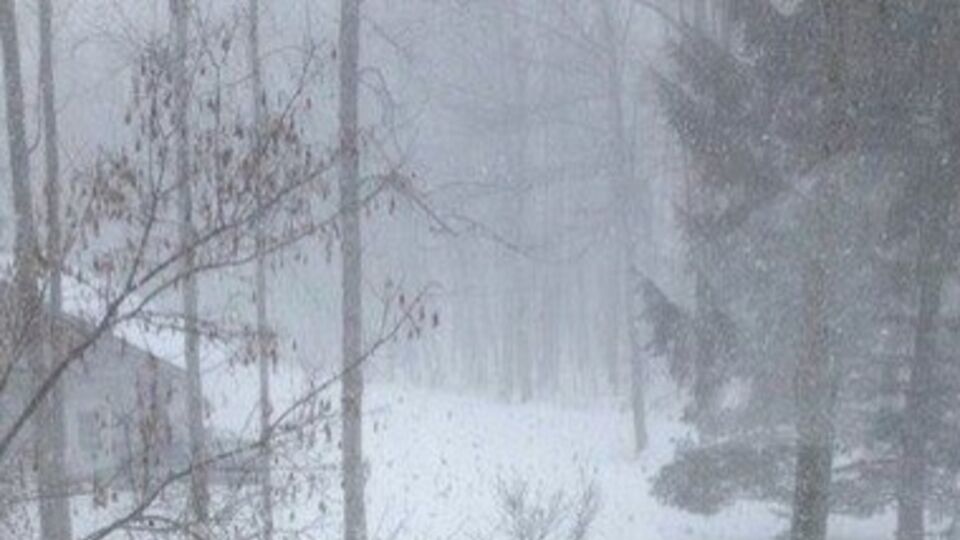 В Крыму сегодня снегопад