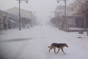 В Симферополе сегодня снег