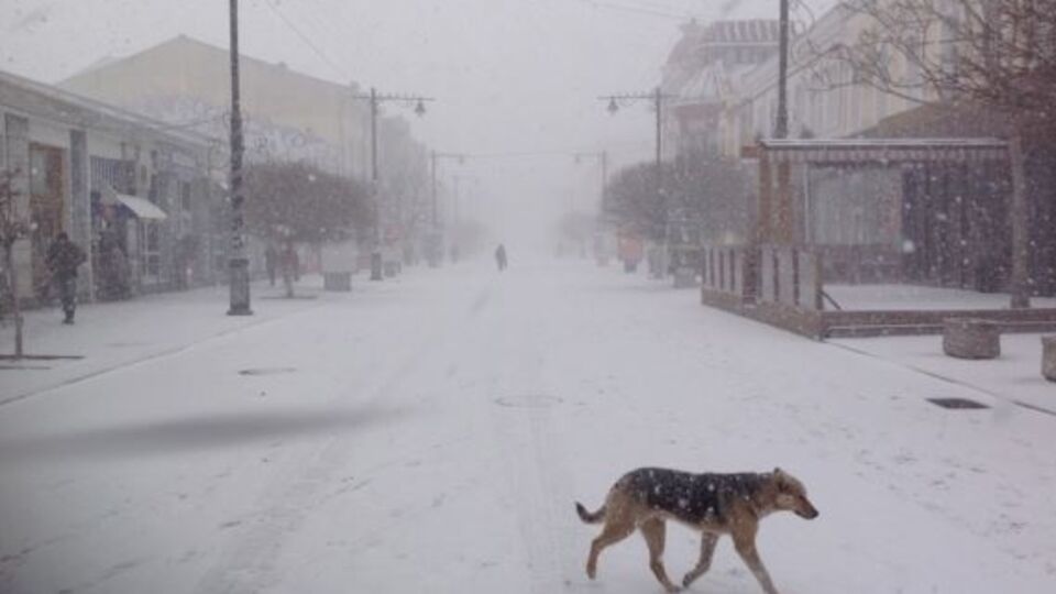 В Симферополе сегодня снег