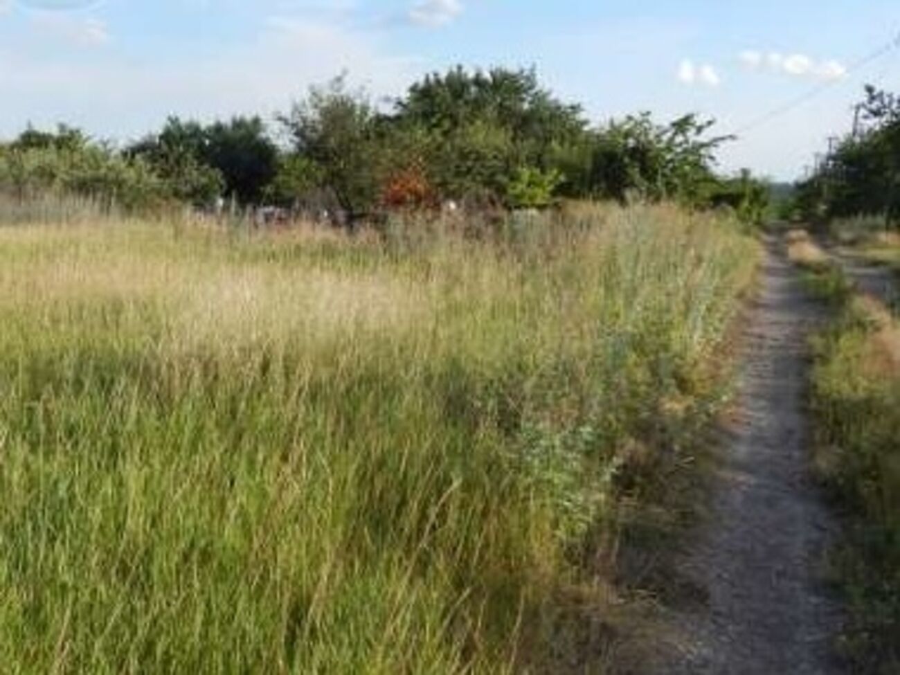 Общая площадь этих участков составляет 16,4 га