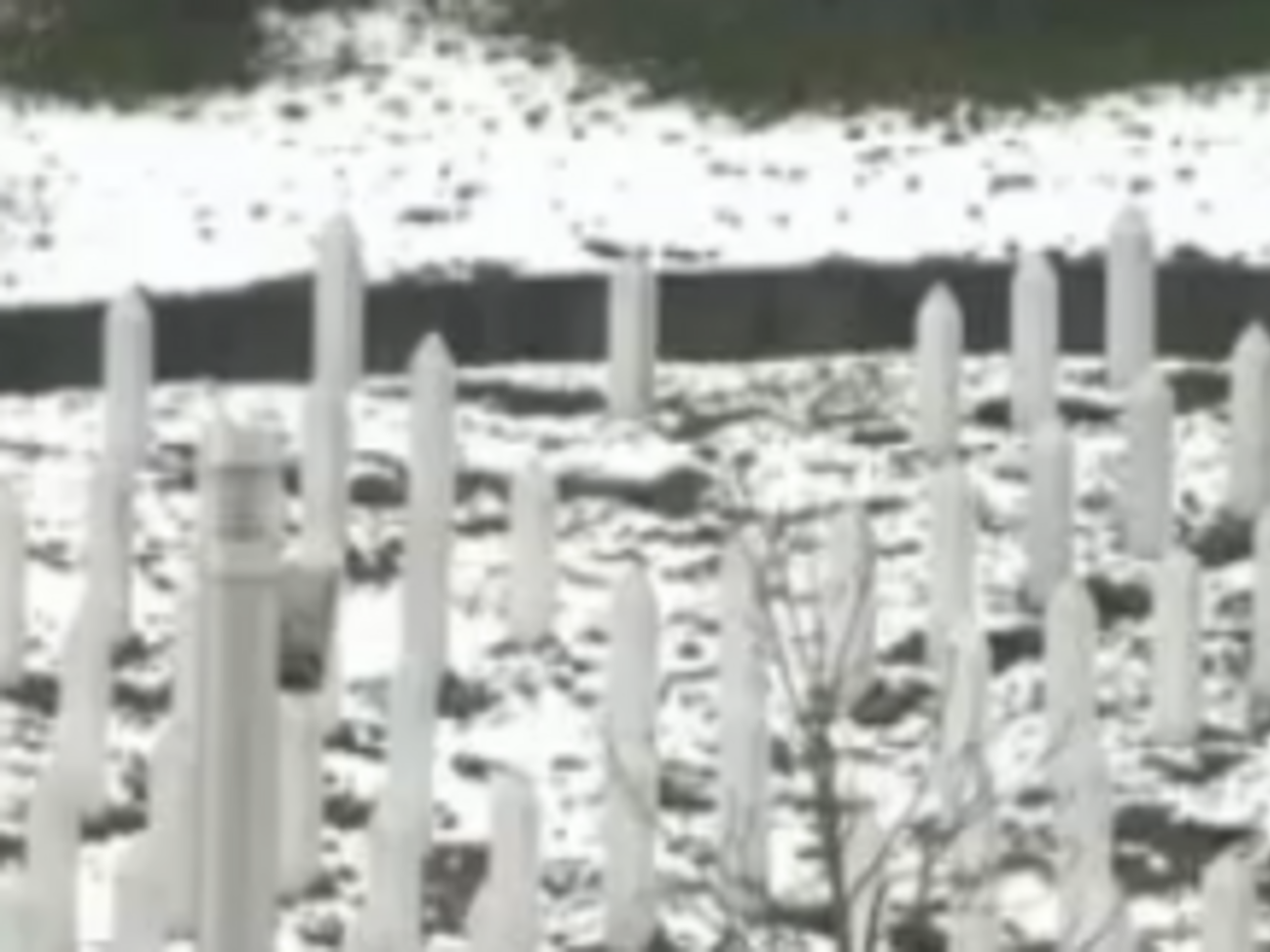 За время военного конфликта в Сребренице от рук членов сербских военных формирований погибли более 8 тыс. боснийских мусульман