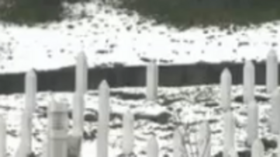 За время военного конфликта в Сребренице от рук членов сербских военных формирований погибли более 8 тыс. боснийских мусульман