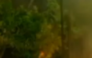 Протестующие забрасывали полицейских камнями и бутылками с горючей смесью