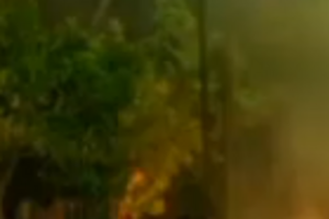 Протестующие забрасывали полицейских камнями и бутылками с горючей смесью