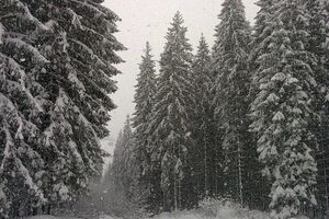 В Карпатах будет снежно