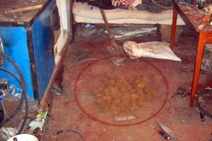 В Донецкой области сотрудники милиции изъяли у местного жителя 51 гранату Ф-1