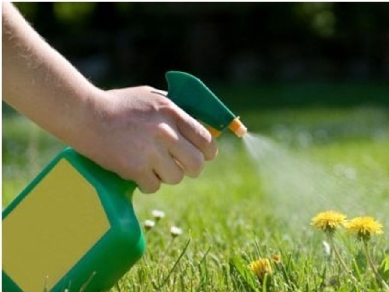 Глифосат широко используется для борьбы с сорняками