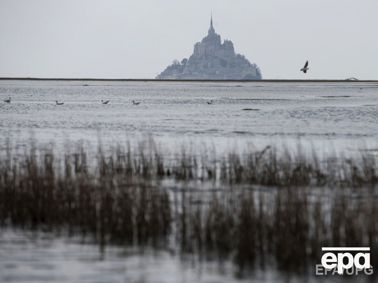 Ученые связывают произошедшее с недавним солнечным затмением