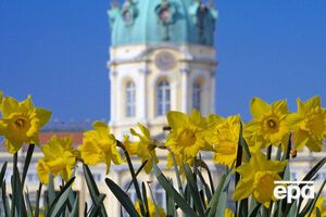 В Киеве до +11