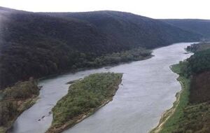 В воде из Днестра обнаружен вирус гепатита А
