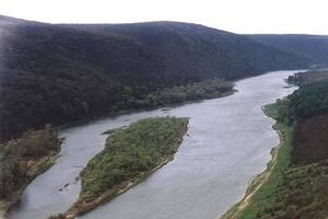 В воде из Днестра обнаружен вирус гепатита А