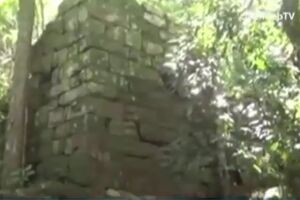 Скриншот видео theguardian.com