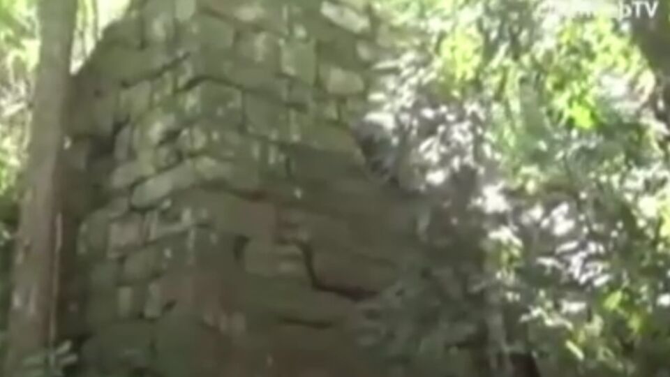 Скриншот видео theguardian.com