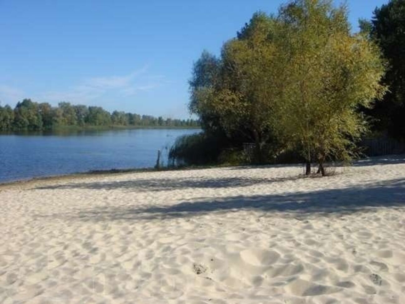 В собственность государства вернули земли в районе реки Козинка