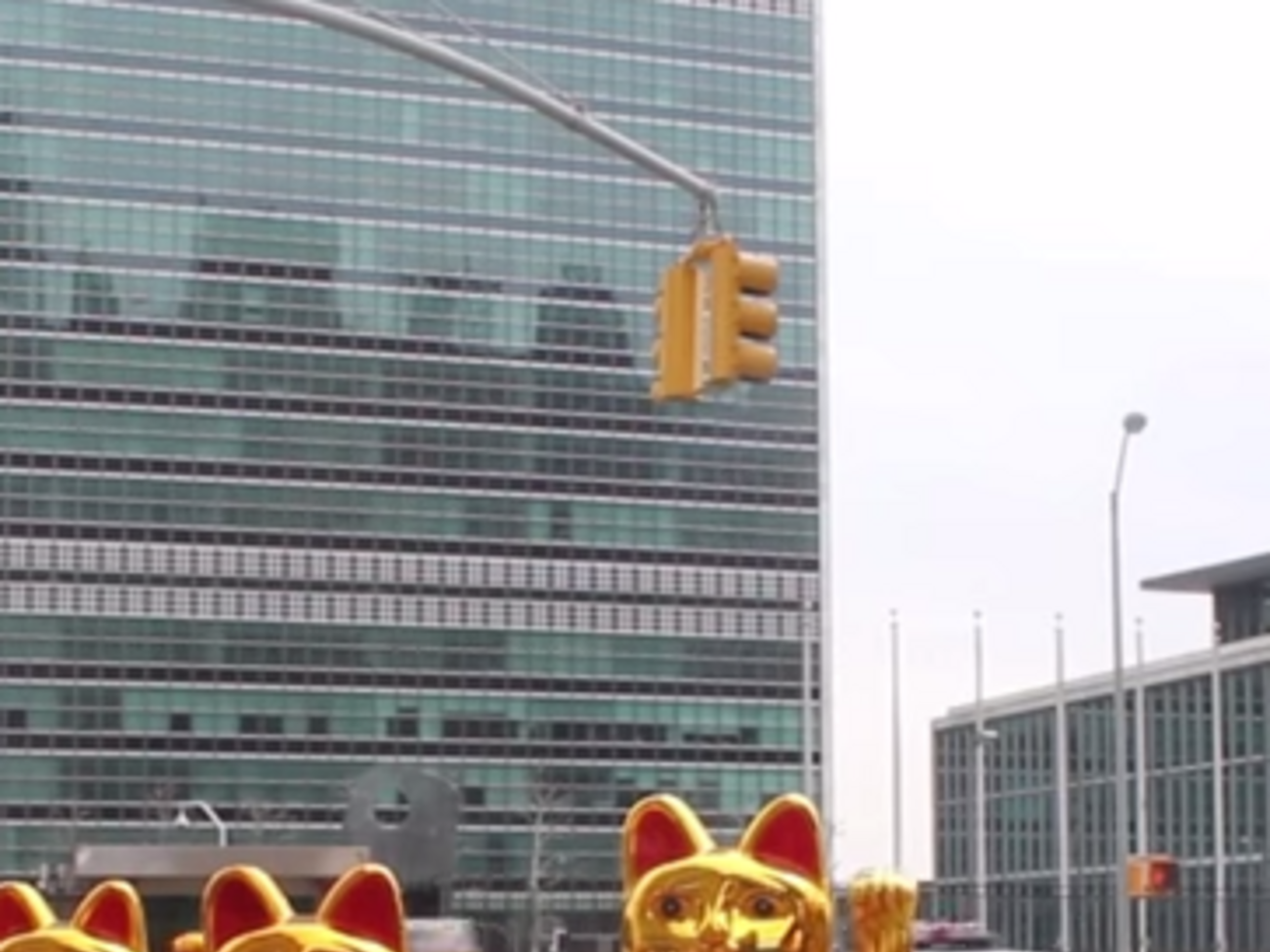 "Золотые коты" под стенами ООН поддержали Украину. Видео