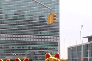 "Золотые коты" под стенами ООН поддержали Украину. Видео