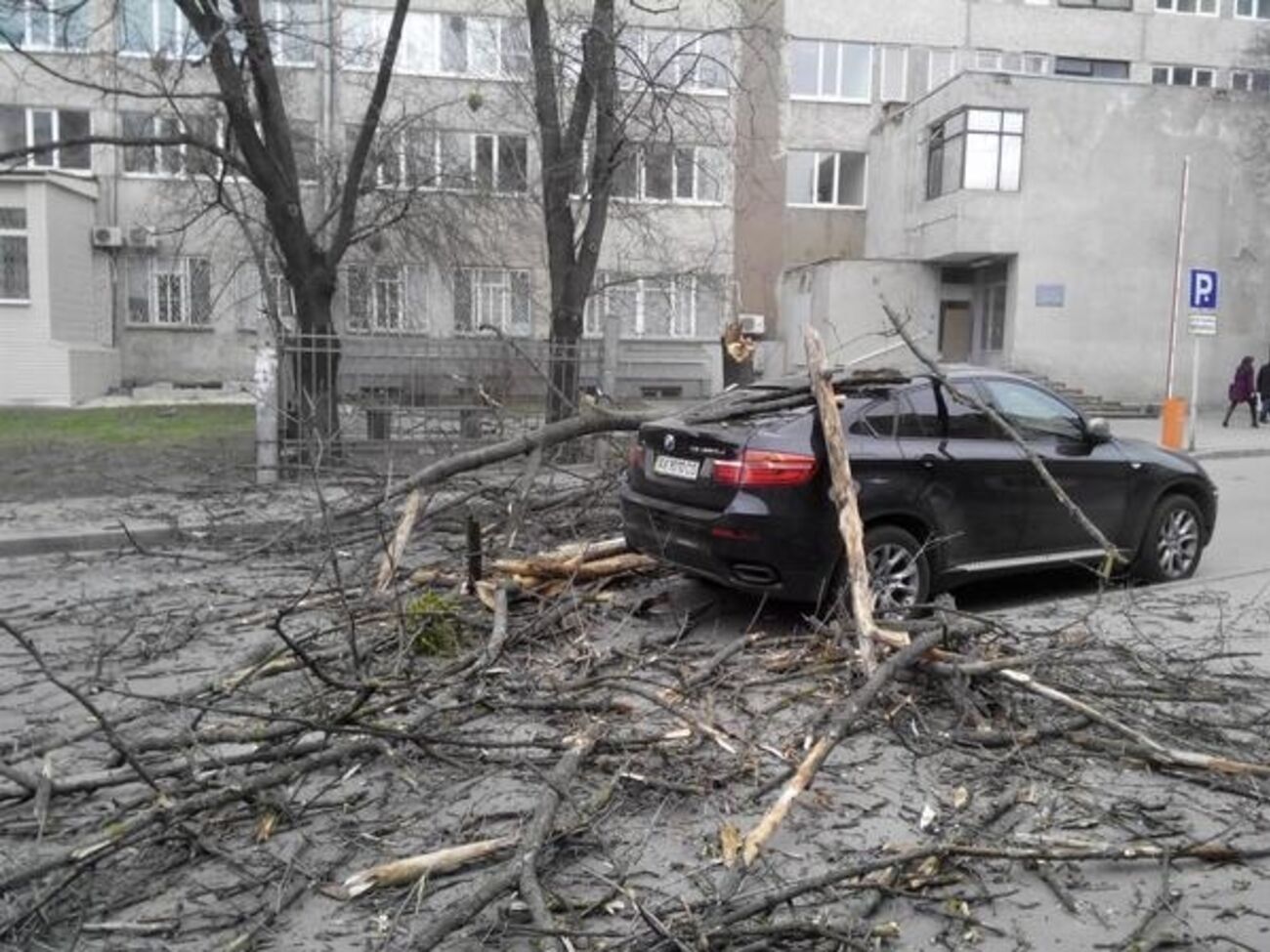 В Харькове сильный ветер повалил деревья и повредил крыши на зданиях. Фоторепортаж
