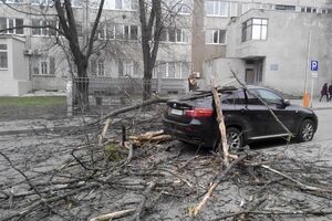 В Харькове сильный ветер повалил деревья и повредил крыши на зданиях. Фоторепортаж