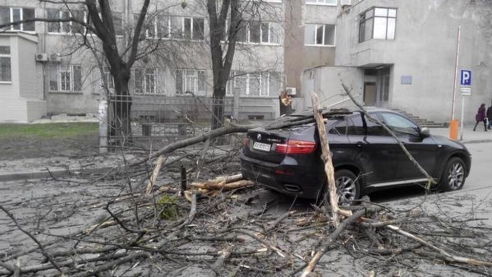 В Харькове сильный ветер повалил деревья и повредил крыши на зданиях. Фоторепортаж